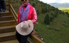 海角社区免费版下载